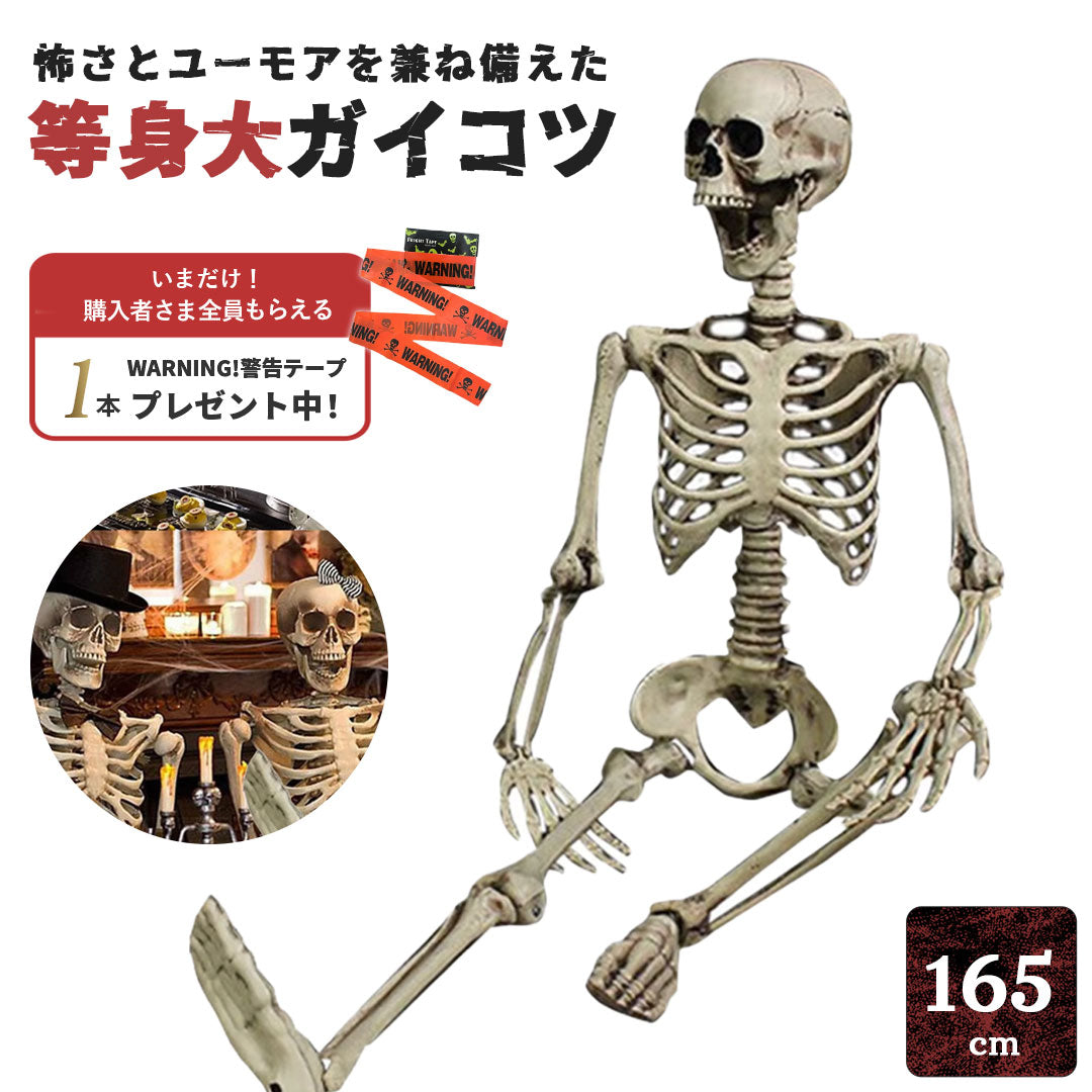 今だけ限定特典｜WARNINGテープ6m付き ドクロ 人体模型 骸骨 ガイコツ 骨 等身大 置物 約165cm ホラー リアル