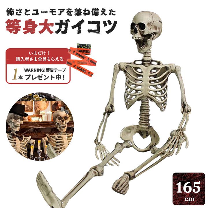 今だけ限定特典｜WARNINGテープ6m付き ドクロ 人体模型 骸骨 ガイコツ 骨 等身大 置物 約165cm ホラー リアル