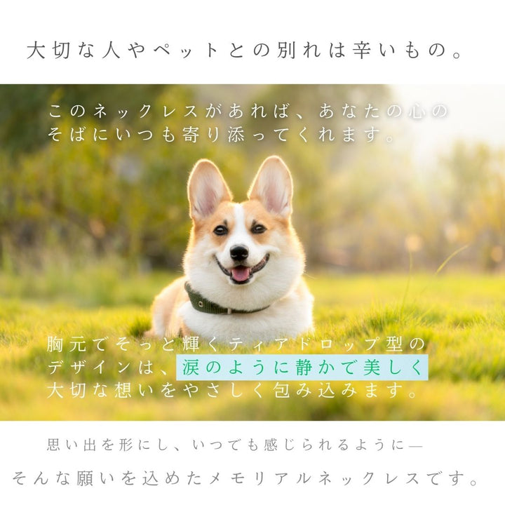 ネックレス | 遺骨ネックレス シルバー 雫形ペンダント 【漏斗＋ドライバーセット付き】