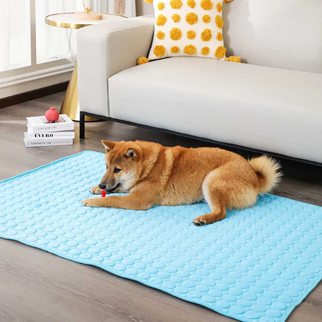 ペットグッズ | 接触冷感ペット用クールマット2XL - 犬猫兼用、洗える、グレーorブルー