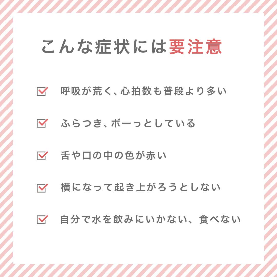 ペットグッズ | 接触冷感ペット用クールマット Lサイズ【洗える・軽量】