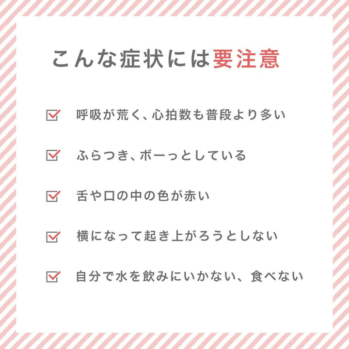 ペットグッズ | 接触冷感ペット用クールマット Lサイズ【洗える・軽量】