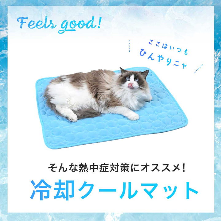 ペットグッズ | 接触冷感ペット用クールマット2XL - 犬猫兼用、洗える、グレーorブルー