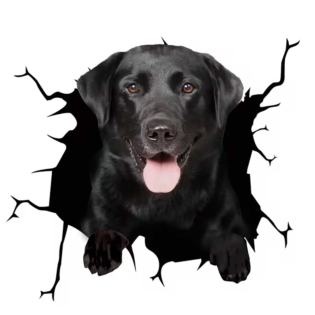 車 アクセサリー | 3D飛び出すわんちゃんステッカー - 車用ドレスアップグッズ