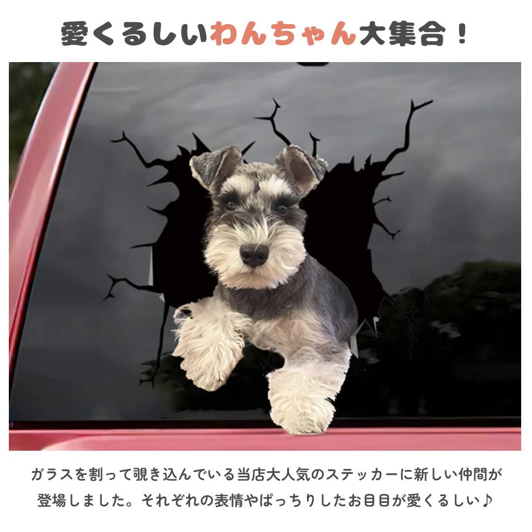車 アクセサリー | 3D飛び出すわんちゃんステッカー - 車用ドレスアップグッズ