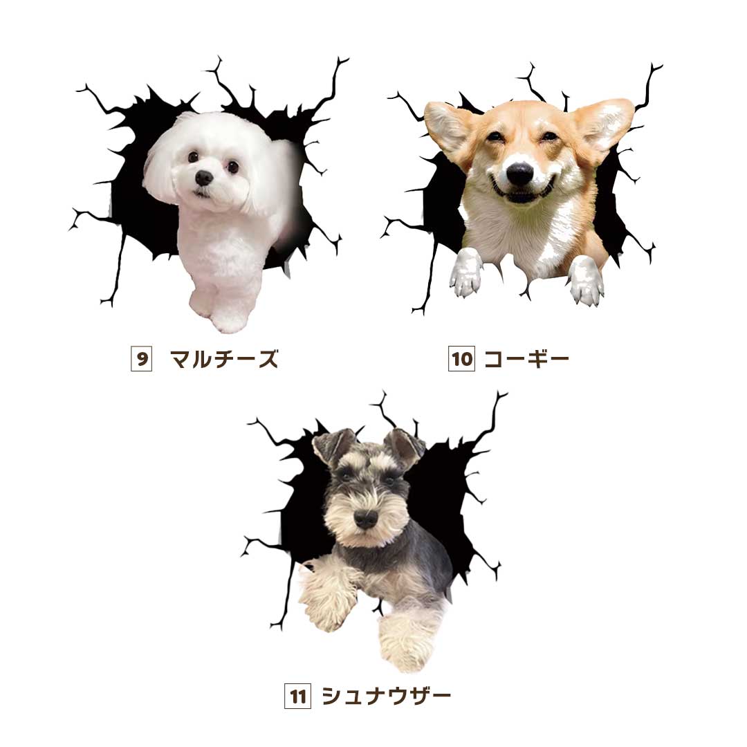 車 アクセサリー | 3D飛び出すわんちゃんステッカー - 車用ドレスアップグッズ