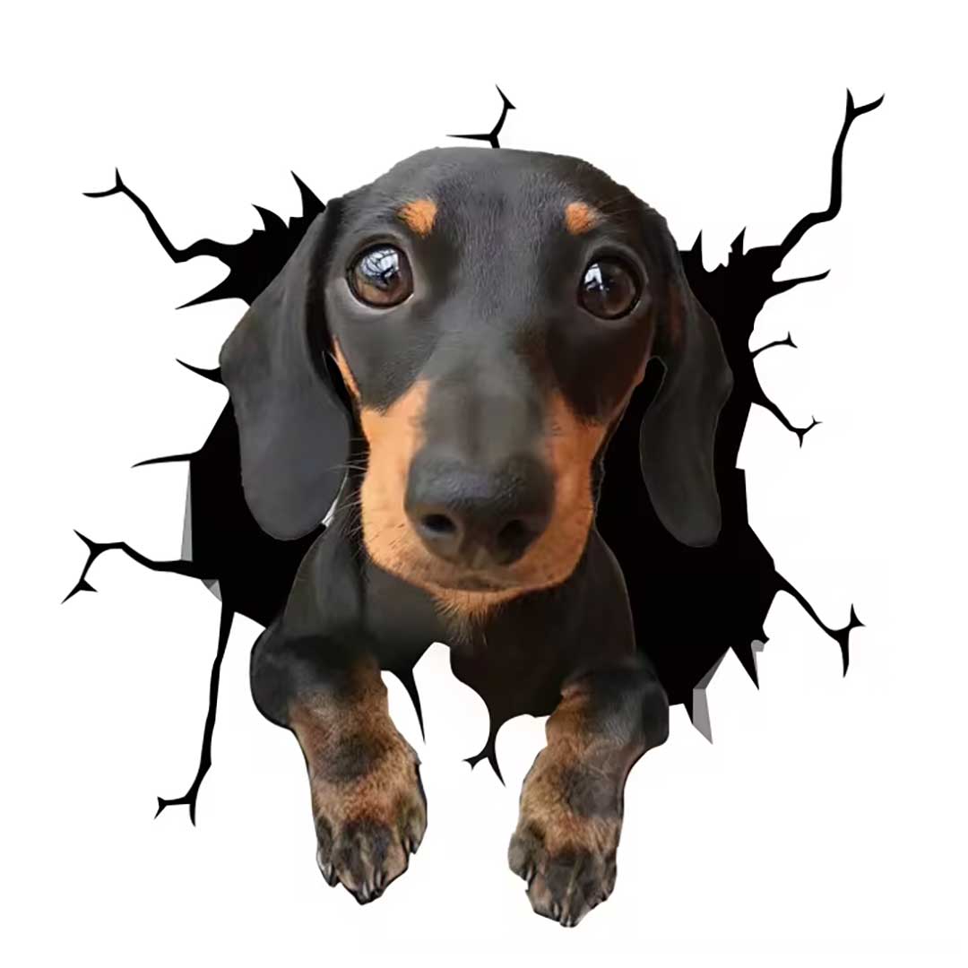 車 アクセサリー | 3D飛び出すわんちゃんステッカー - 車用ドレスアップグッズ