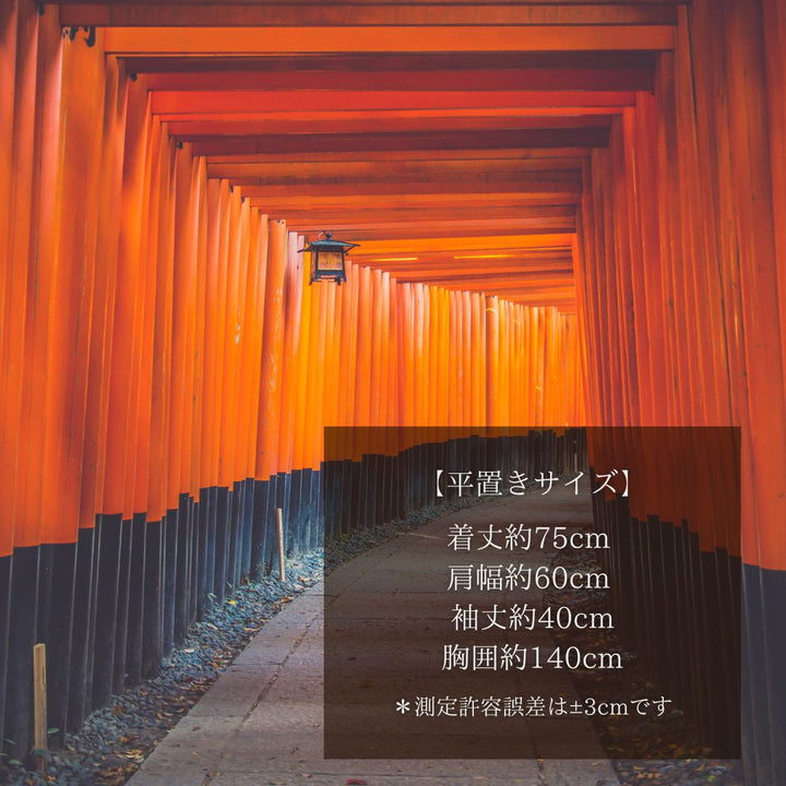 はっぴ 和服 | 浮世絵 法被 富士山・鯉龍柄 和装羽織 XLサイズ