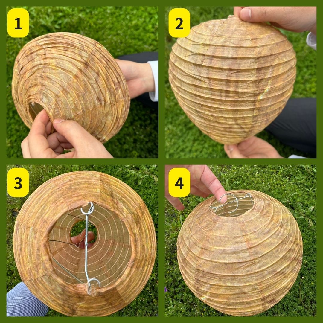 虫よけ 鳥よけ | スズメバチキャップル 虫よけデコイ 黄色