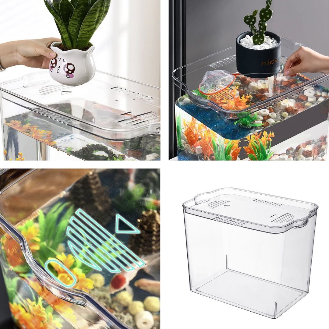 ペットグッズ | メダカ・金魚用クリアアクアリウム - 蓋付きプラスチック水槽