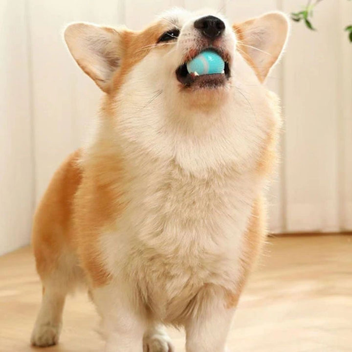 ペットグッズ | 360°自動回転ボール 猫・犬用おもちゃ USB充電式