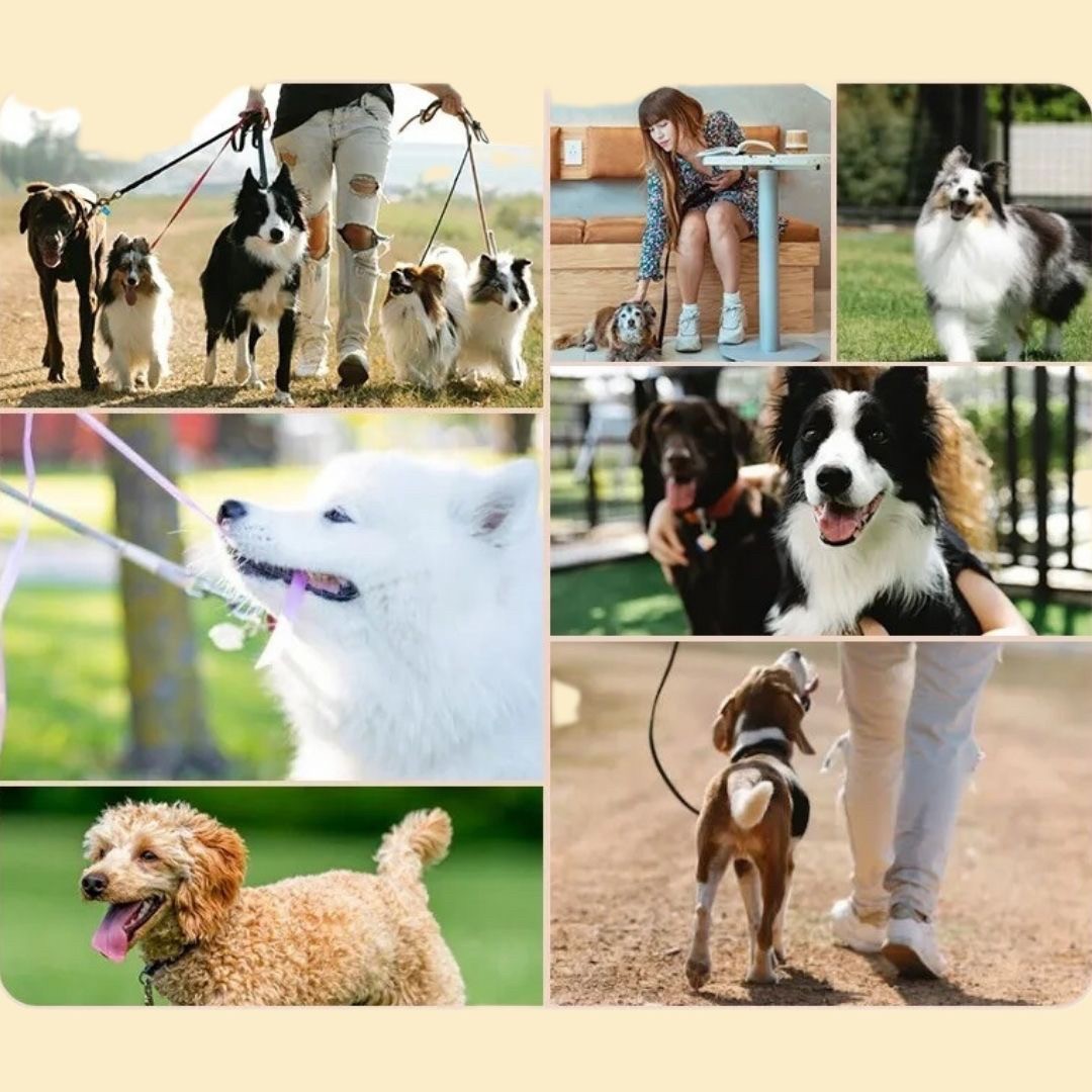 ペットグッズ | レザー首輪 猫・小型犬用 シンプル全6カラー