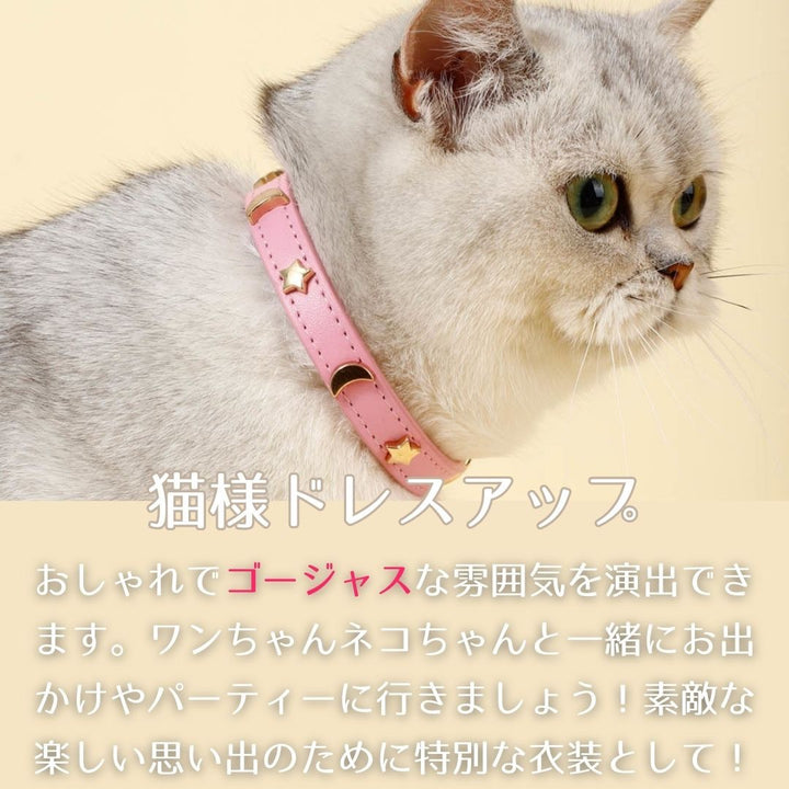 ペットグッズ | レザー首輪 猫・小型犬用 シンプル全6カラー