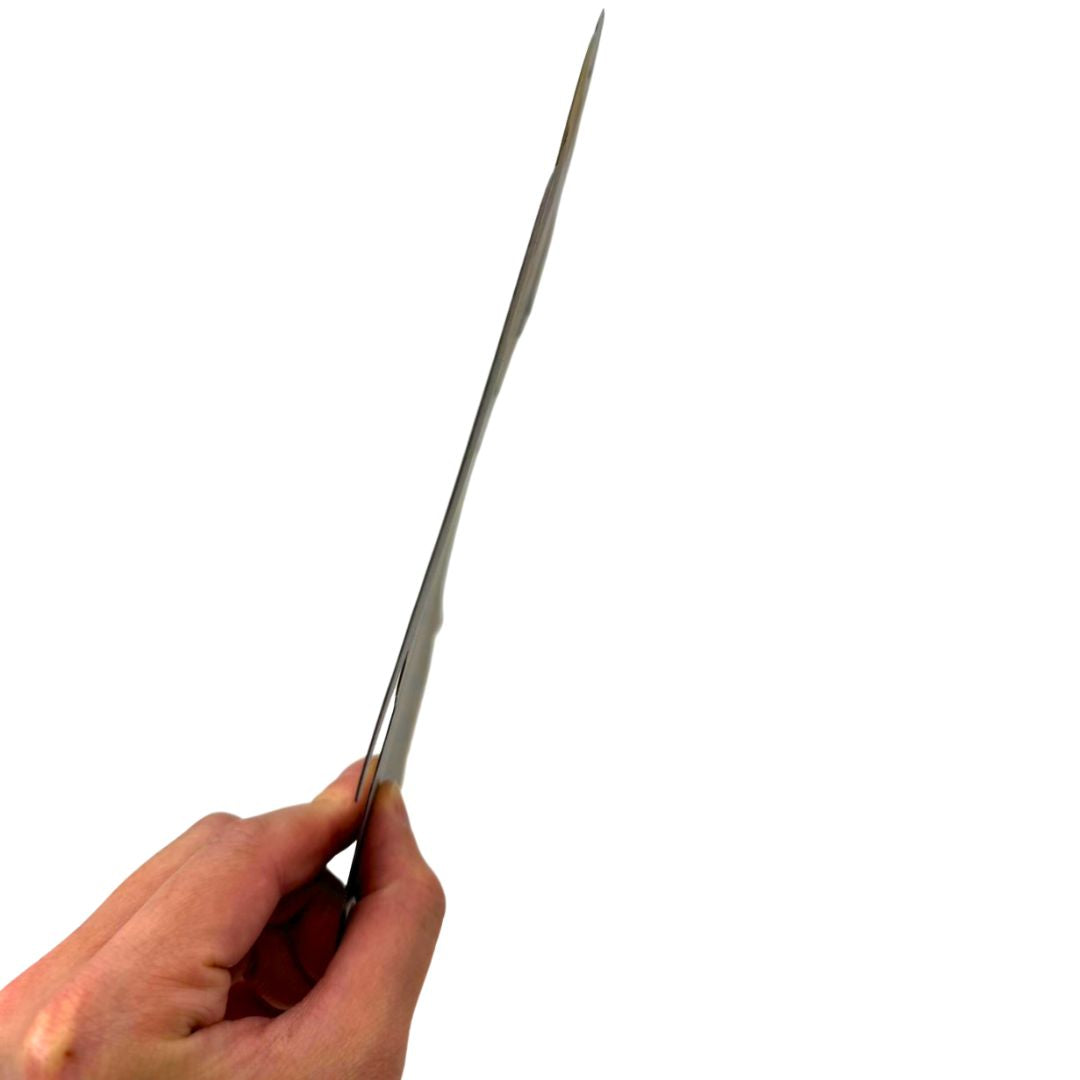 虫よけ 鳥よけ | リアル鷲プリント防鳥反射板