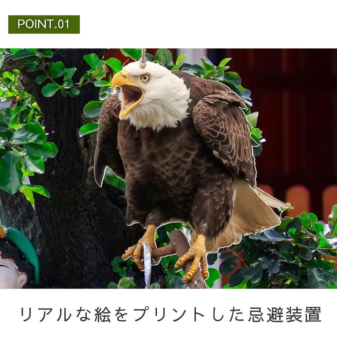 虫よけ 鳥よけ | リアル鷲プリント防鳥反射板