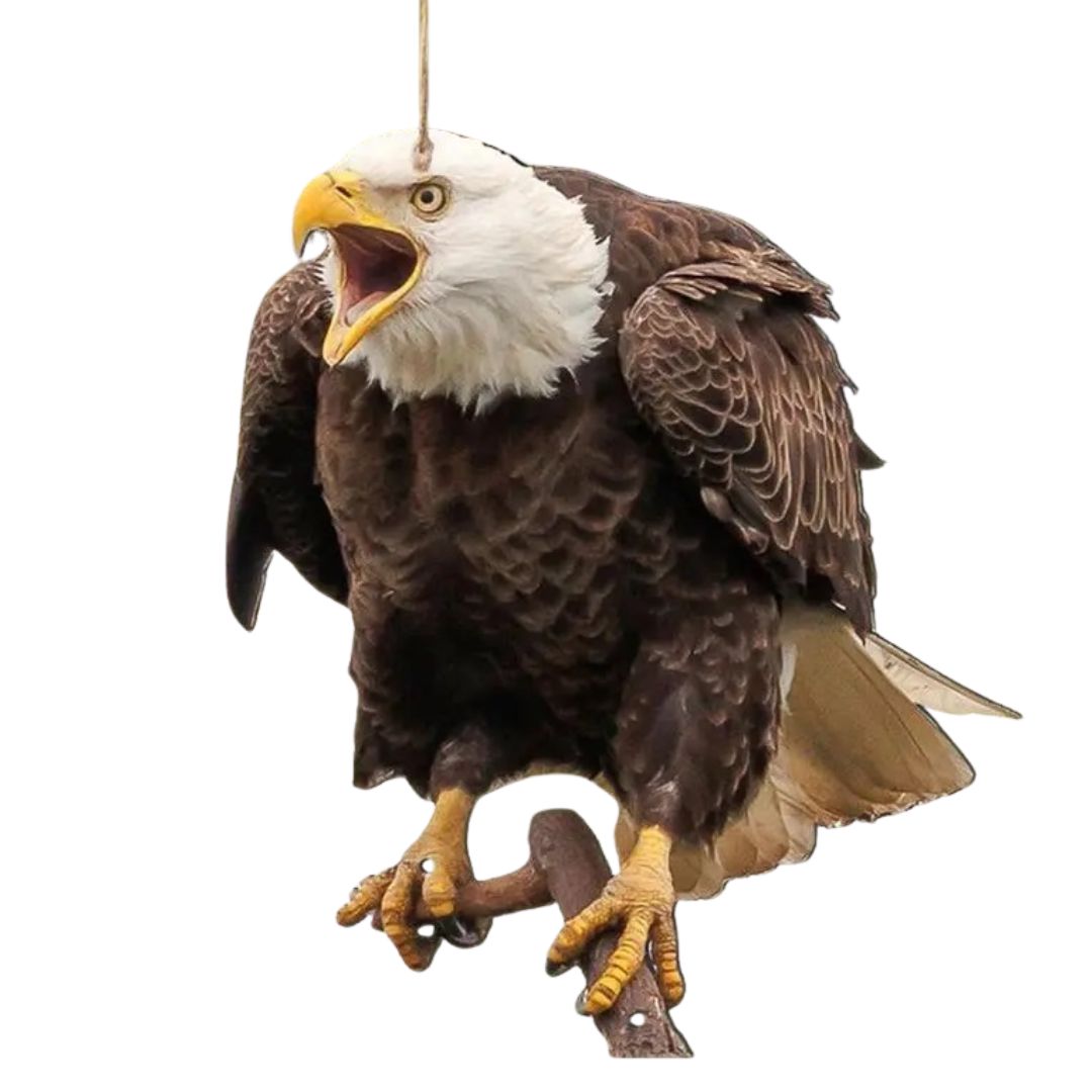 虫よけ 鳥よけ | リアル鷲プリント防鳥反射板