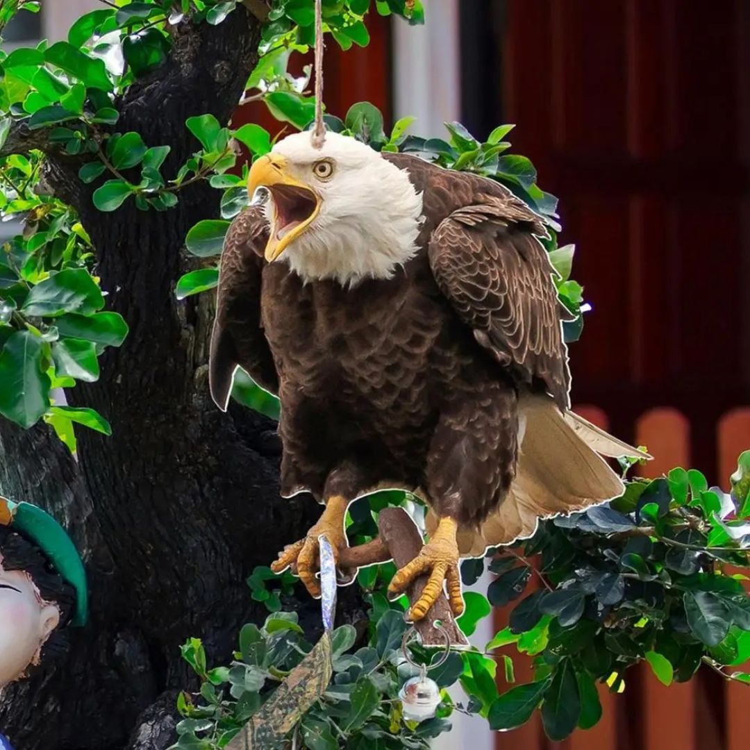 虫よけ 鳥よけ | リアル鷲プリント防鳥反射板