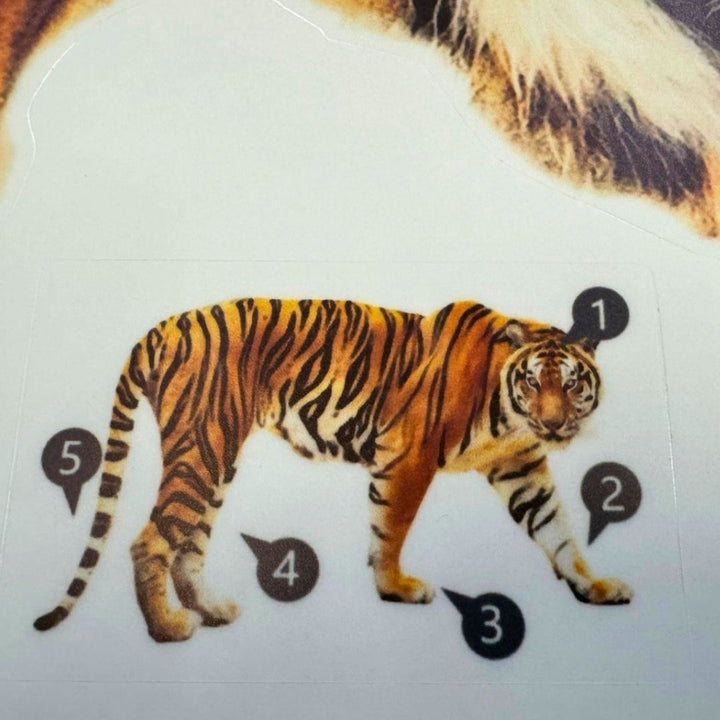 インテリア雑貨 その他 | トラのウォールステッカー 北欧風 動物インテリア