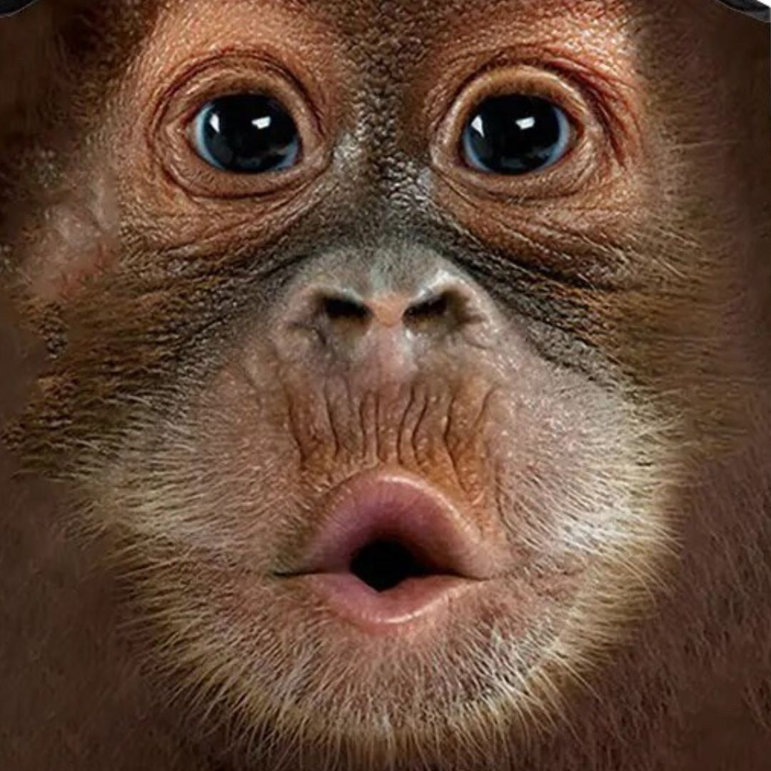 Tシャツ ニット | チンパンゴリラ アニマルプリント 速乾タンクトップ