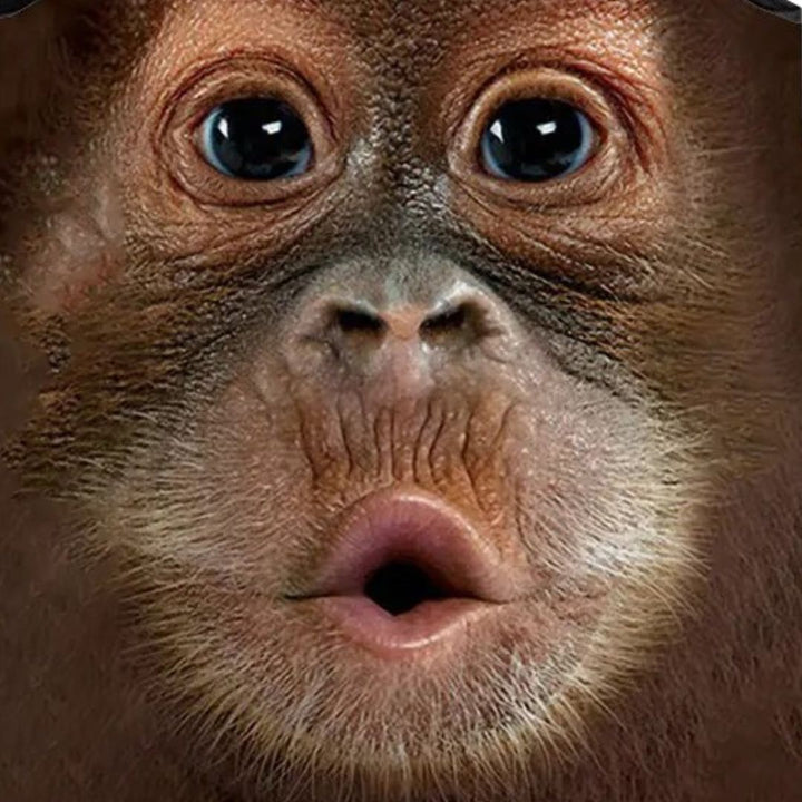 Tシャツ ニット | チンパンゴリラ アニマルプリント 速乾タンクトップ