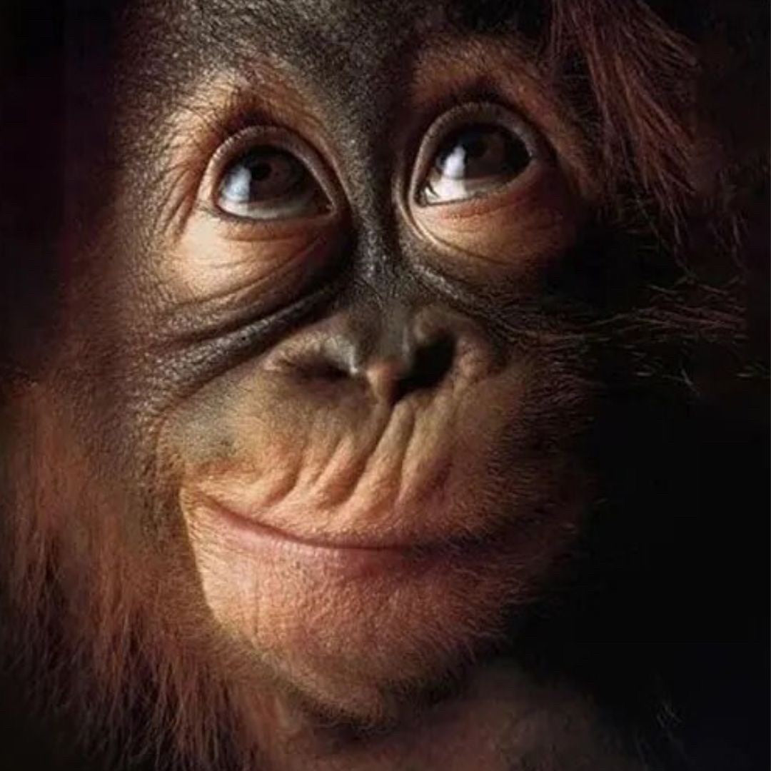 Tシャツ ニット | チンパンゴリラ アニマルプリント 速乾タンクトップ