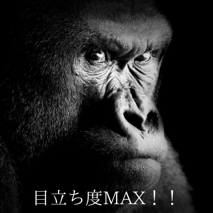 Tシャツ ニット | チンパンゴリラ アニマルプリント 速乾タンクトップ