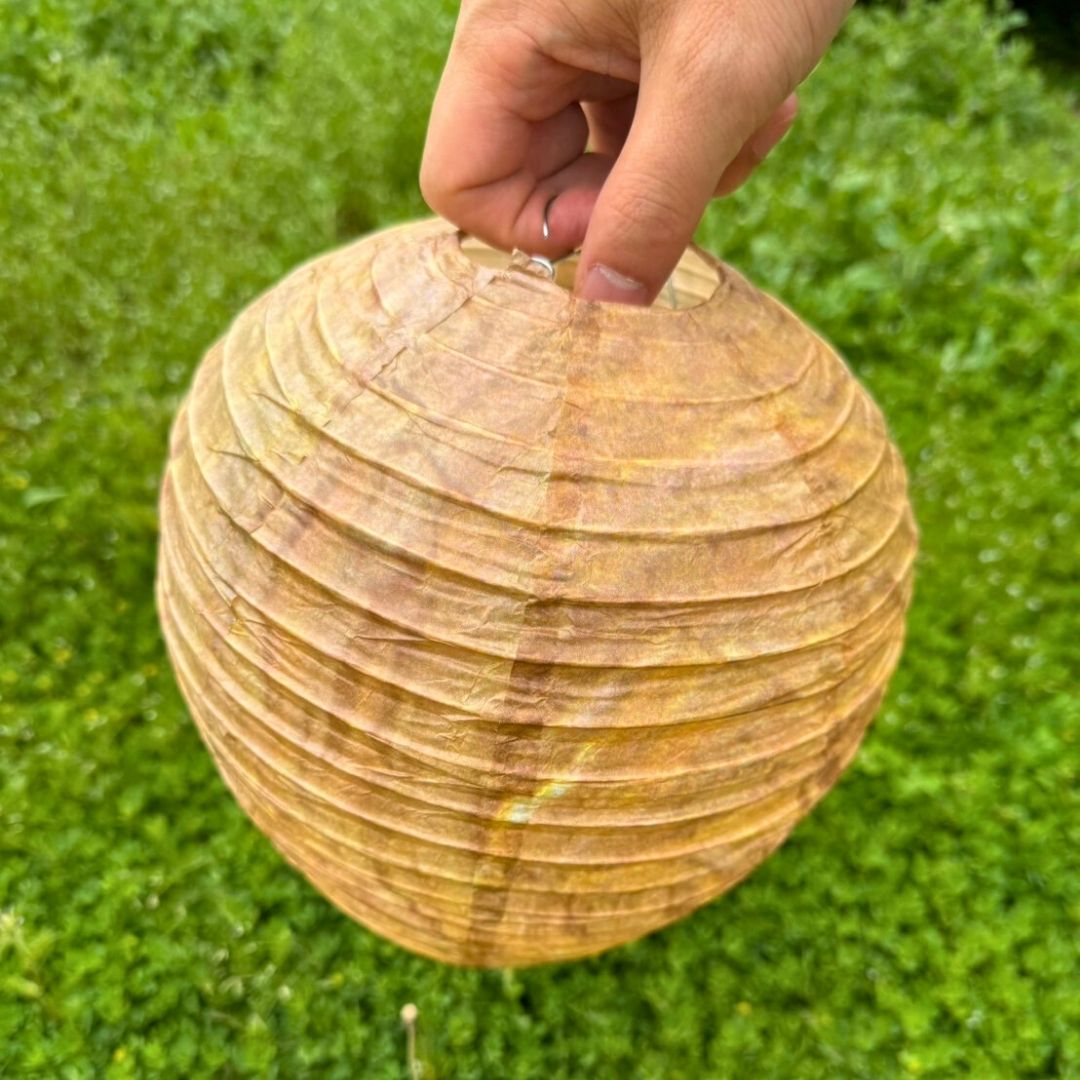 虫よけ 鳥よけ | スズメバチキャップル 虫よけデコイ 黄色