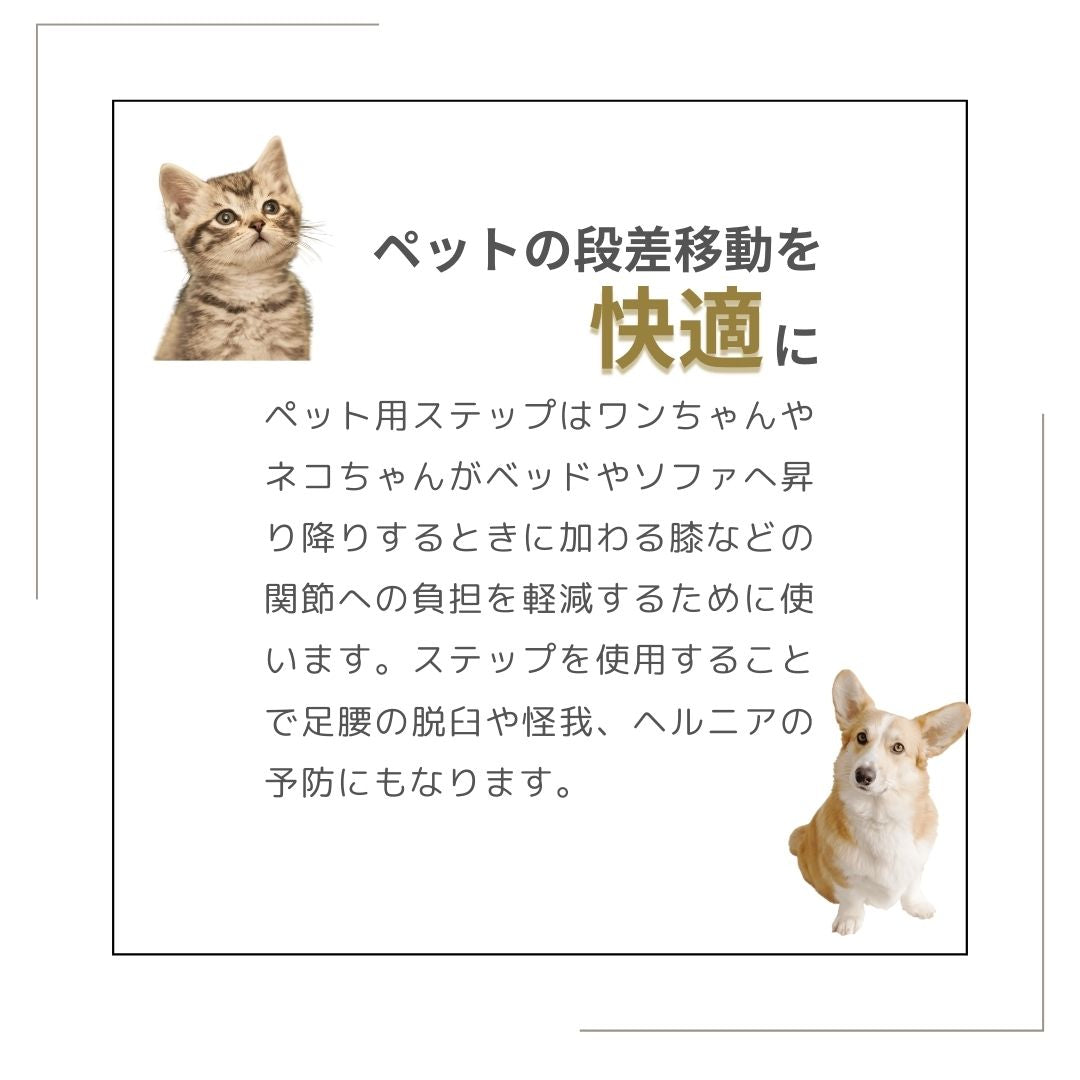 ペットグッズ | ペット用ステップ2段 - 犬猫用軽減負担踏台