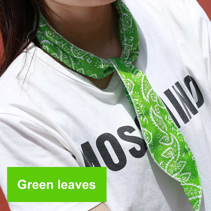 アウトドア用品 その他 | ペイズリー柄冷却スカーフ 全5色 クールタオル