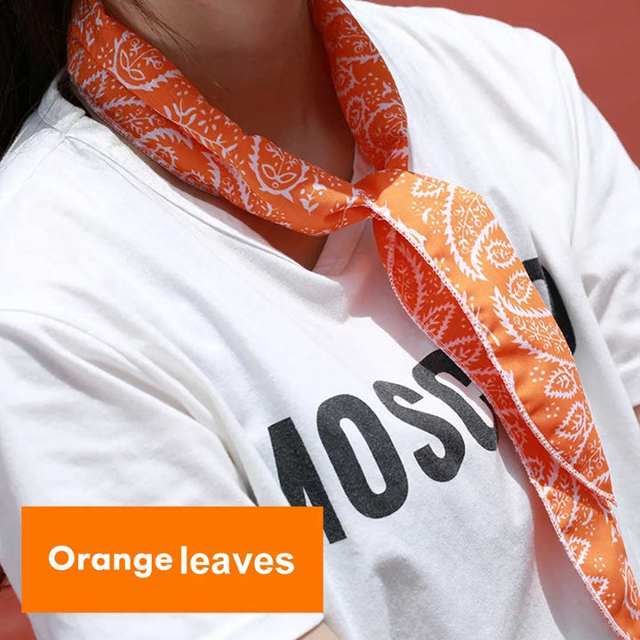 アウトドア用品 その他 | ペイズリー柄冷却スカーフ 全5色 クールタオル