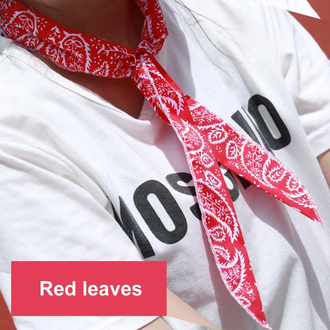 アウトドア用品 その他 | ペイズリー柄冷却スカーフ 全5色 クールタオル