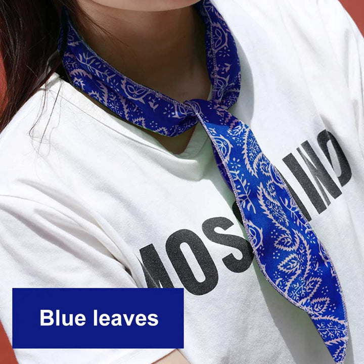 アウトドア用品 その他 | ペイズリー柄冷却スカーフ 全5色 クールタオル