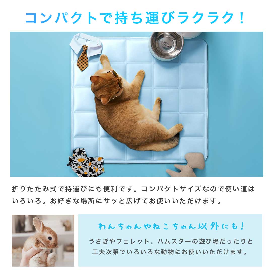 非売品 台湾限定 ブランケット カナヘイの小動物ピスケ&うさぎ