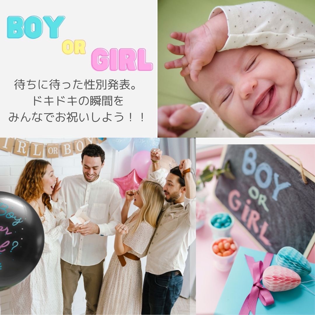 赤ちゃん用品 | ジェンダーリビールバルーン 紙ふぶき入り ピンク＆ブルーセット