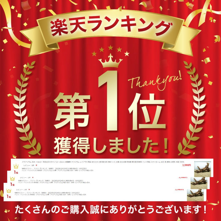 ペットグッズ | アクアリウム用流木 21〜25cm 形状お任せ - 水槽・テラリウムレイアウト向け