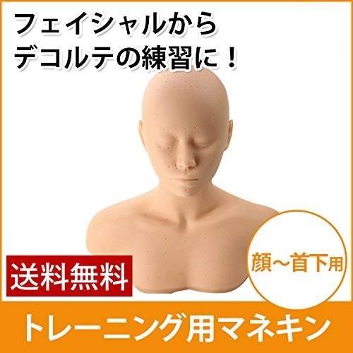 コスメティック | フェイス＆デコルテ マネキンヘッド - エステ・メイク練習用