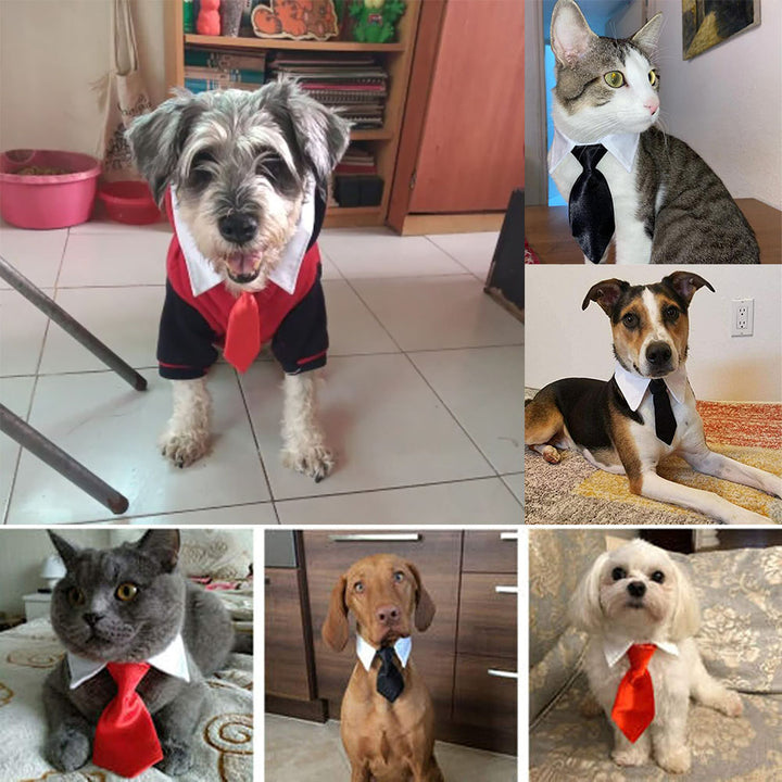 ペットグッズ | 小型犬・猫用おしゃれネクタイ（赤/黒）