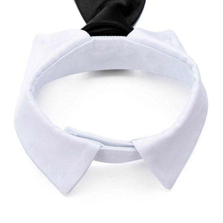 ペットグッズ | 小型犬・猫用おしゃれネクタイ（赤/黒）