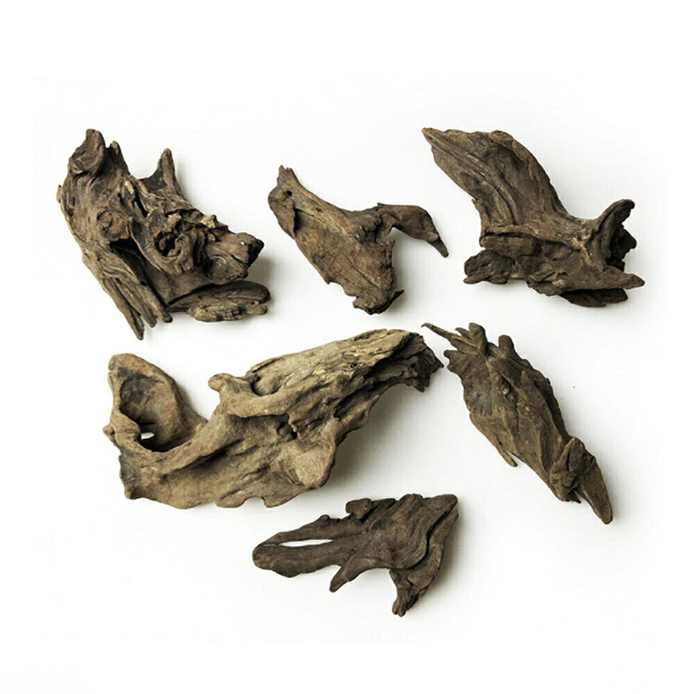 ペットグッズ | アクアリウム用流木 21〜25cm 形状お任せ - 水槽・テラリウムレイアウト向け