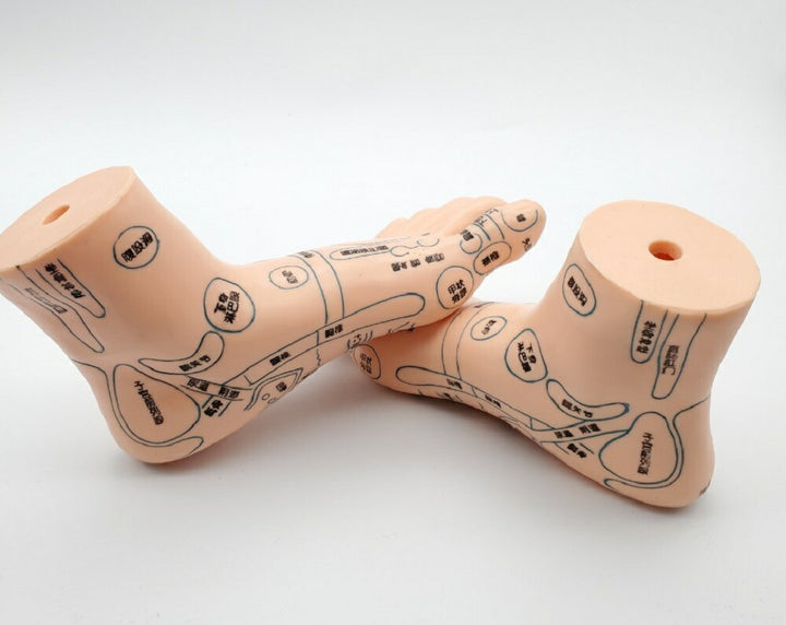 コスメティック | 2個セット 足つぼマッサージ模型 シリコン製反射区練習用マネキン