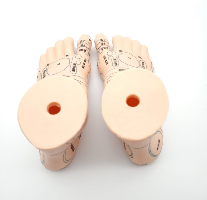 コスメティック | 2個セット 足つぼマッサージ模型 シリコン製反射区練習用マネキン