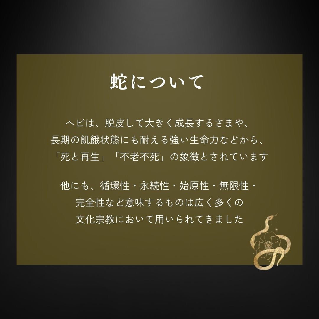 ブレスレット | 開運ダブルスネークブレスレット 男女兼用