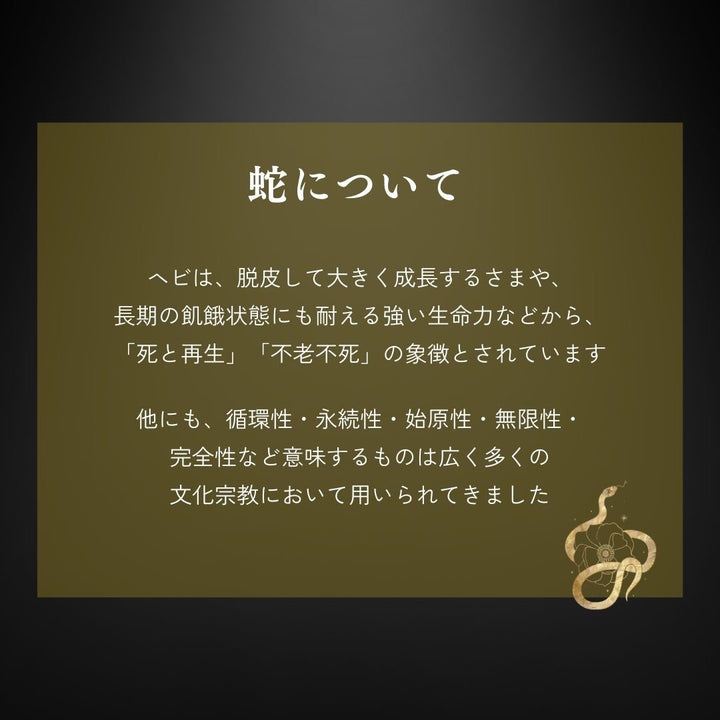 ブレスレット | 開運ダブルスネークブレスレット 男女兼用