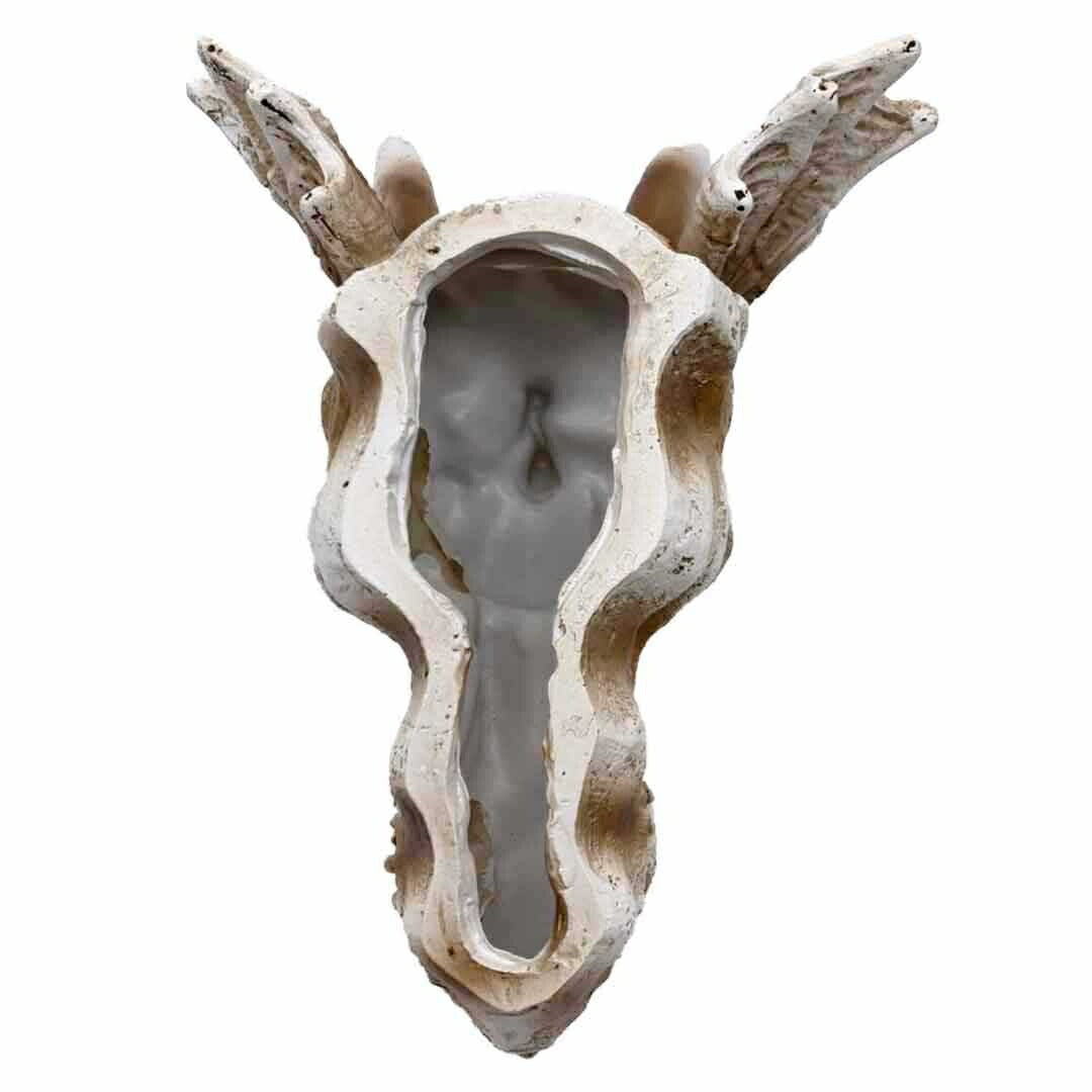 風水 インテリア | 風水龍頭蓋骨置物 - 開運金運向上