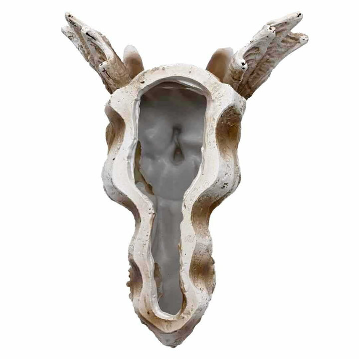 風水 インテリア | 風水龍頭蓋骨置物 - 開運金運向上