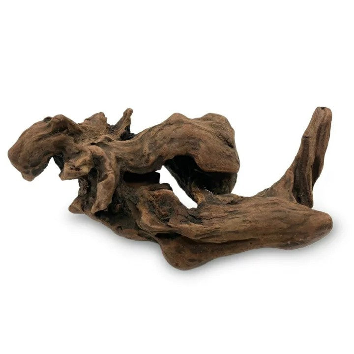 ペットグッズ | アクアリウム用流木10本セット 21〜25cm 形状お任せ - 水槽・テラリウム向け