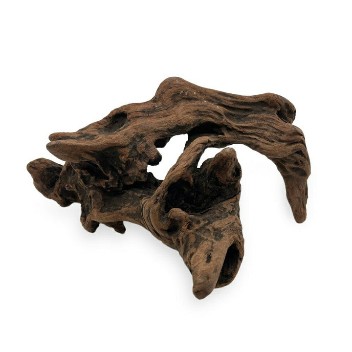 ペットグッズ | アクアリウム用流木 21〜25cm 形状お任せ - 水槽・テラリウムレイアウト向け