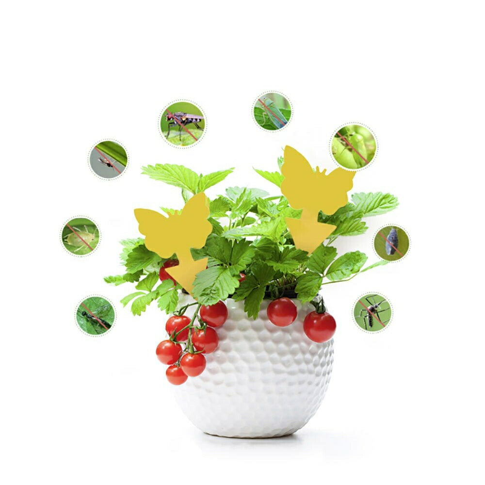 虫よけ 鳥よけ | 黄色蝶々型粘着トラップ 12枚セット - 虫取り・害虫対策 安全無毒