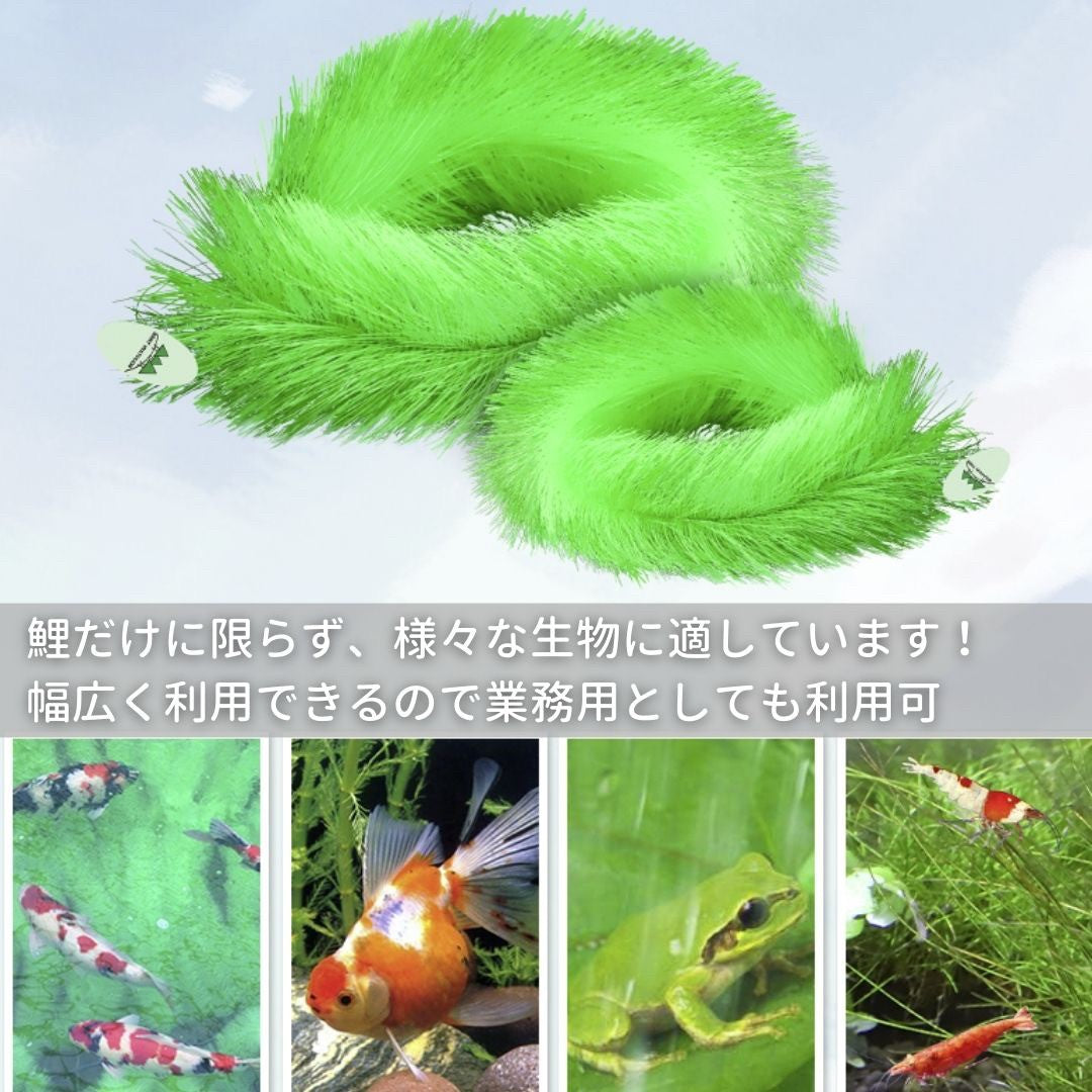 ペットグッズ | 錦鯉・コイ用産卵床：繁殖＆観察ブラシ