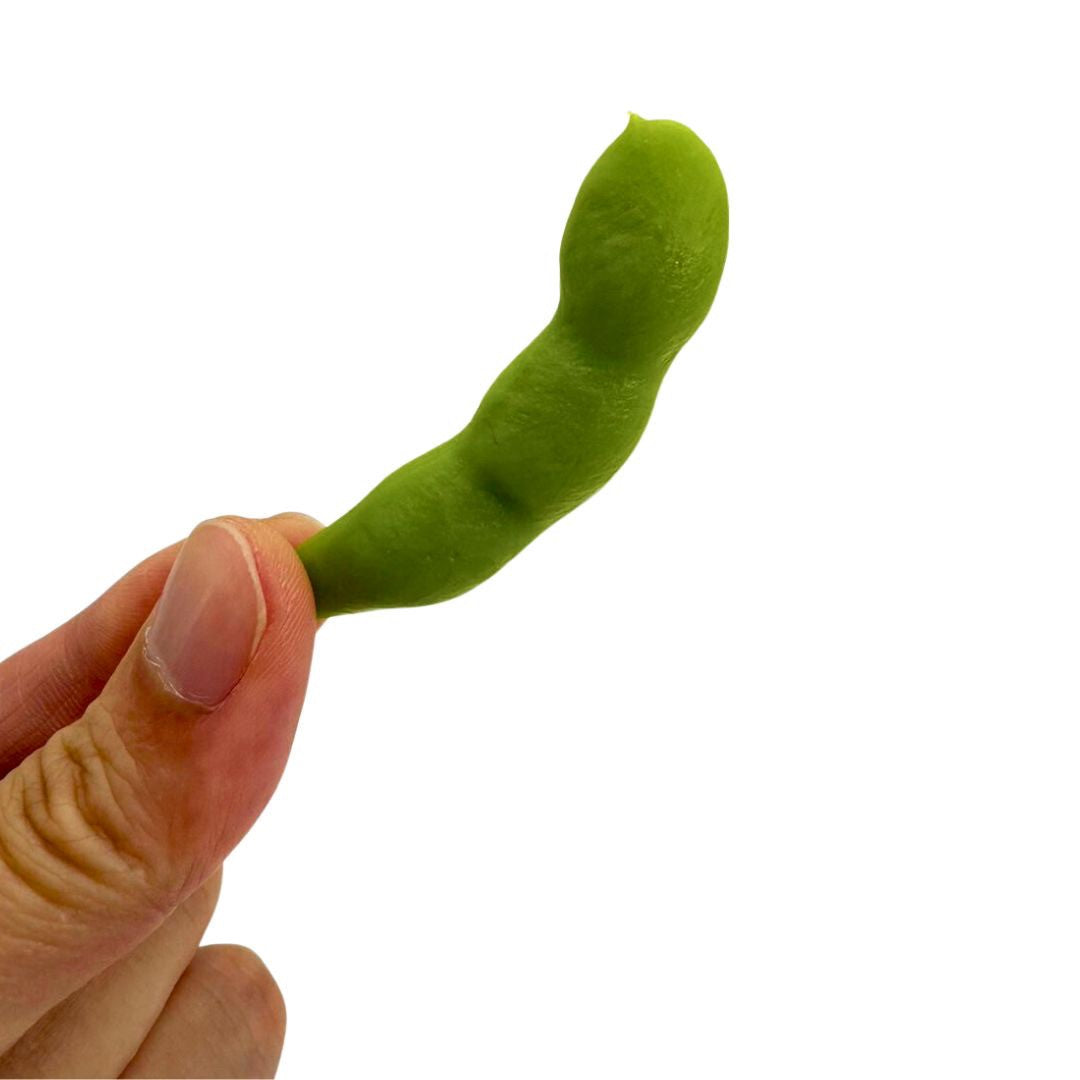 インテリア オブジェ | 枝豆フェイク食品サンプル 10個セット - 店舗・インテリア装飾用